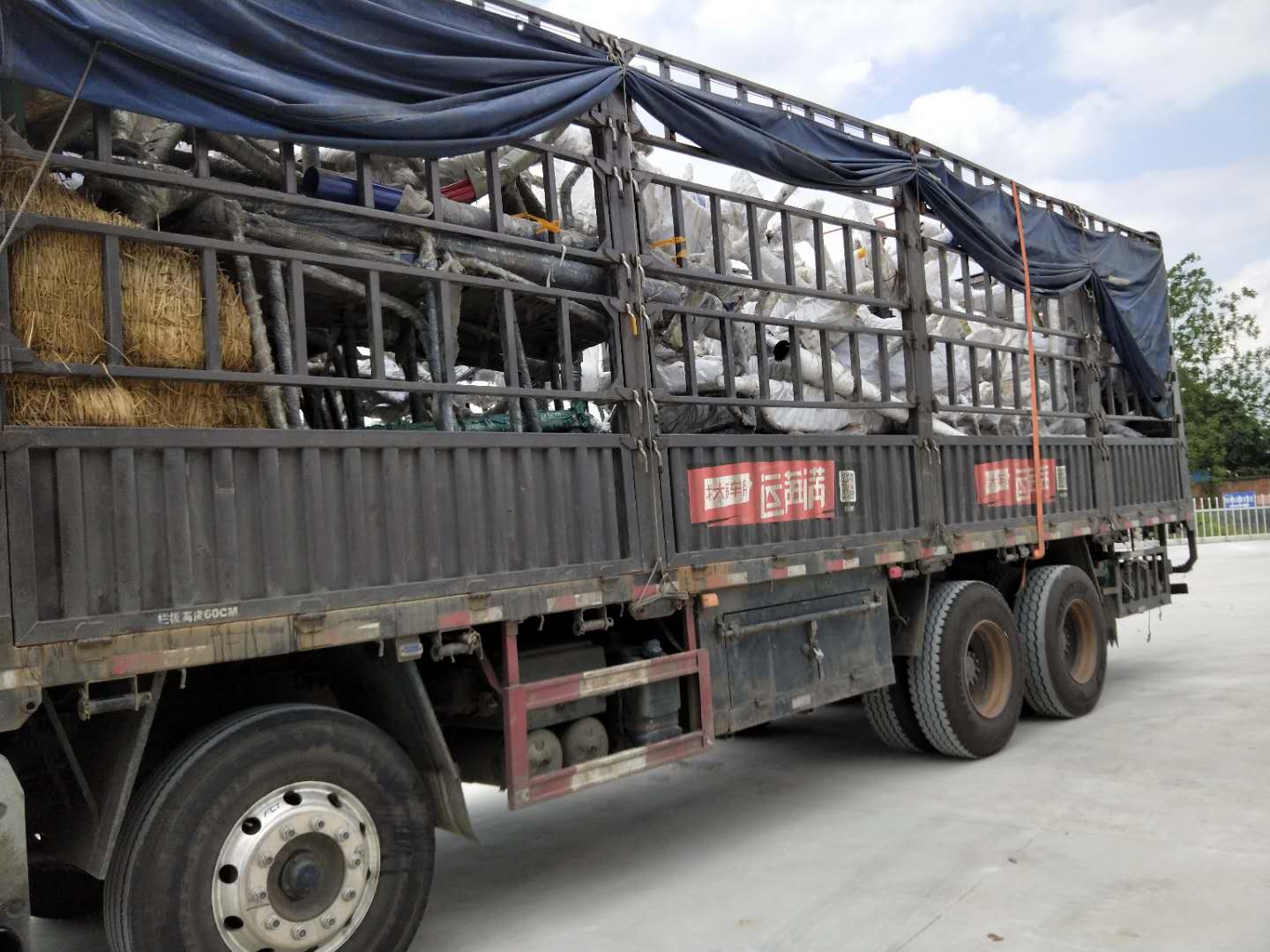 健身器材厂家成冠体育