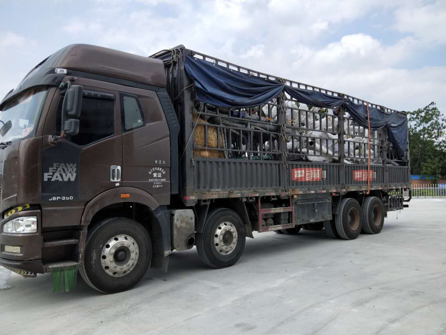 健身器材厂家成冠体育